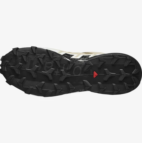 SPEEDCROSS 6 GORE-TEX Herren 
