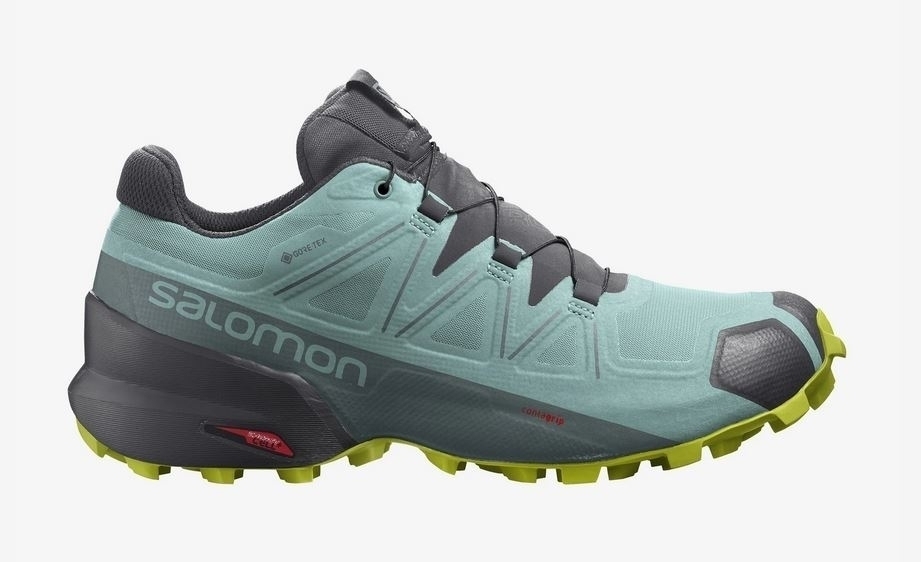 Salomon speedcross gore tex femme best sale